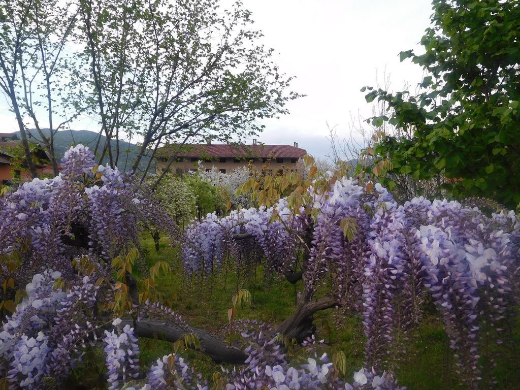 Bed and Breakfast U Tej Cumiana Exterior foto