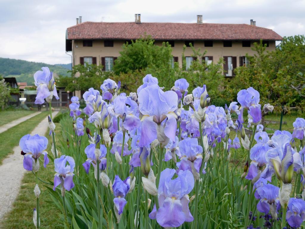 Bed and Breakfast U Tej Cumiana Exterior foto